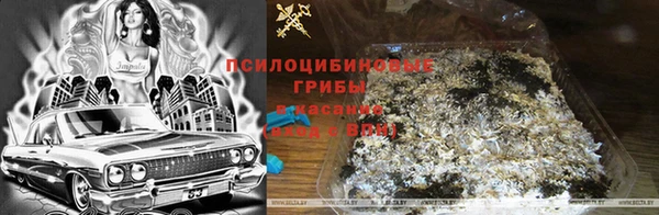 СК Алзамай