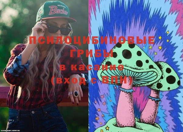 СК Алзамай