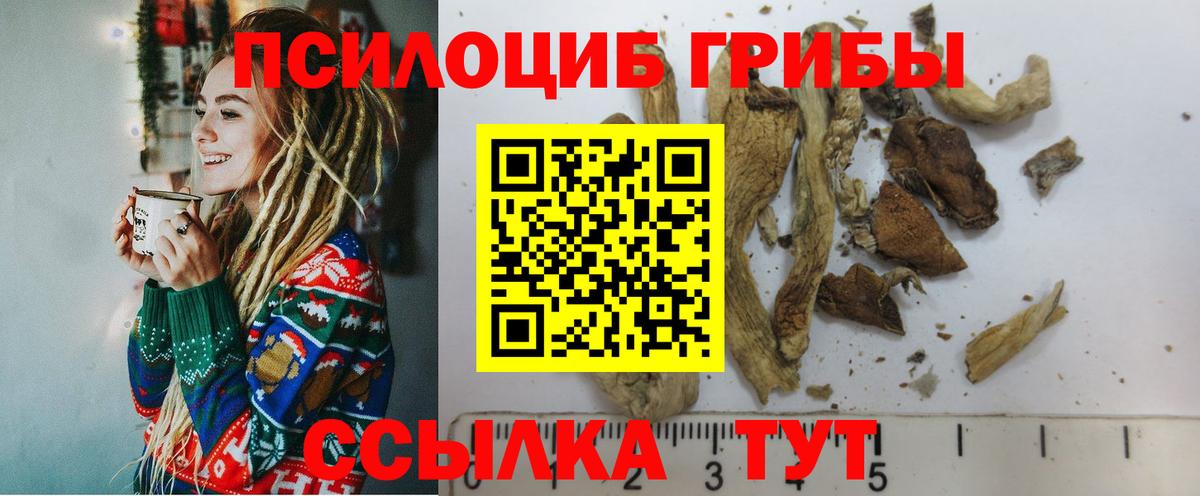 Галлюциногенные грибы MAGIC MUSHROOMS Кольчугино