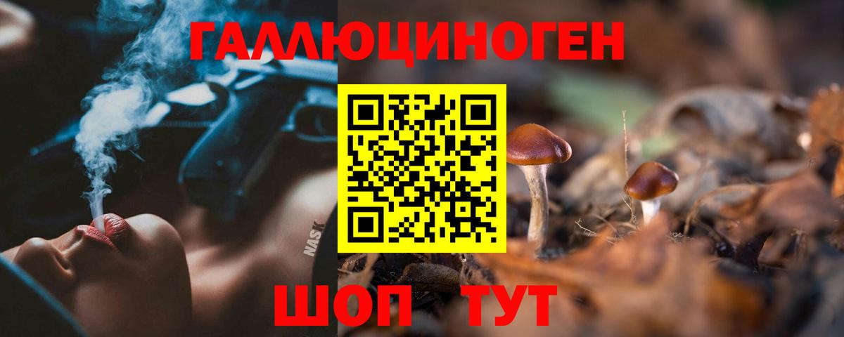 Галлюциногенные грибы Magic Shrooms  Вход с VPN  Псилоцибиновые грибы GOLDEN TEACHER  Кольчугино 